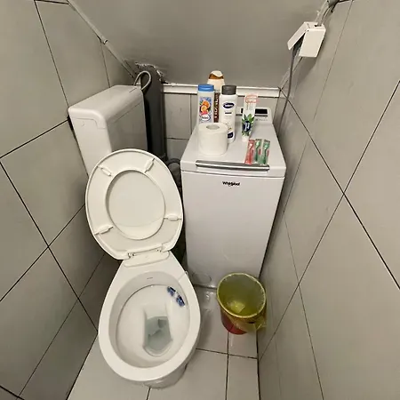 Journey Проживание в семье *